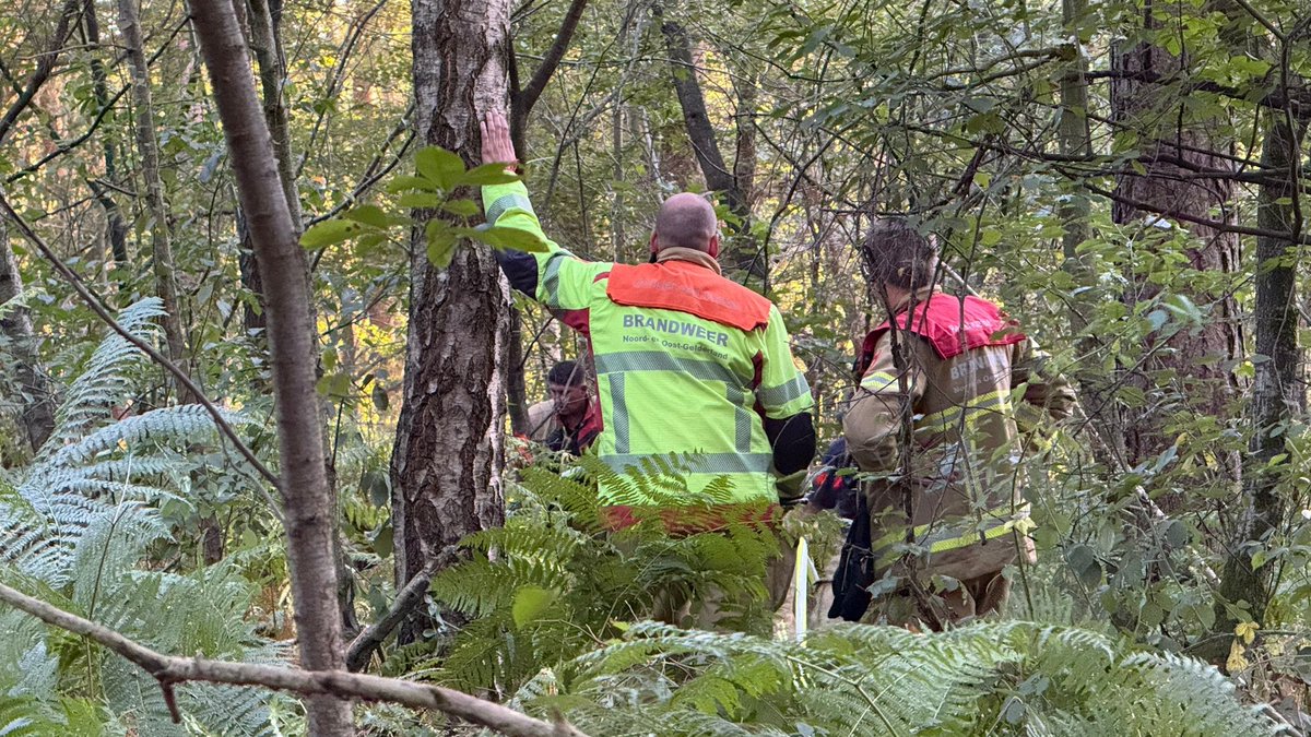 Brandweer blust bosbrand in Doetinchem
