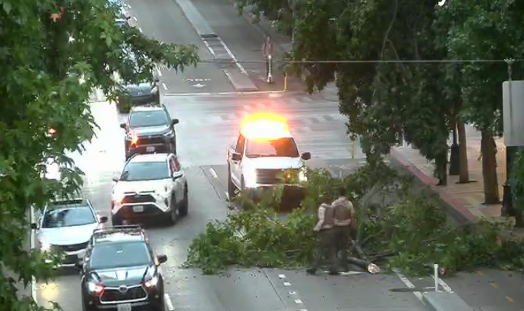 Shorelinearea's tweet photo. Only in Seattle - fallen tree blocks two lanes on 4th Ave
https://t.co/DawcGaB9y4 https://t.co/gYq4kODnvn
