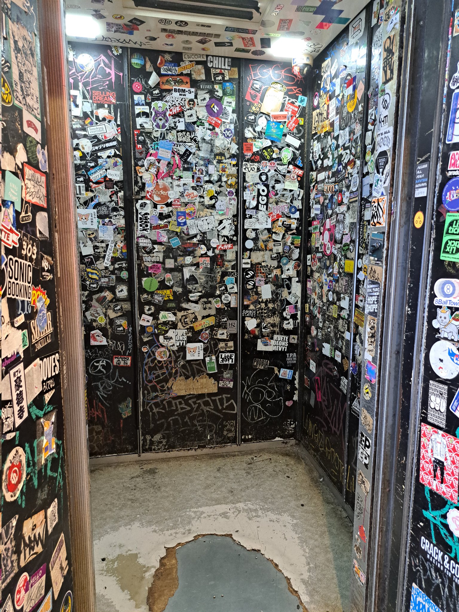 ShowCase - Search / X