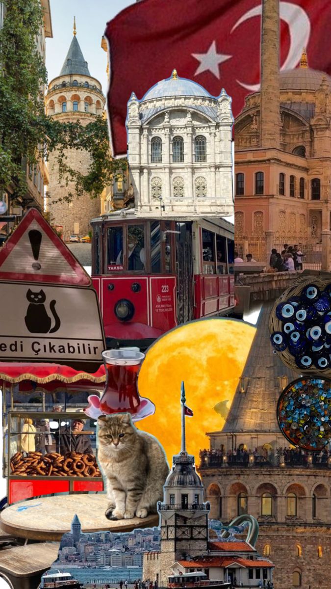 turqoisè (@tuurqoise) on Twitter photo 