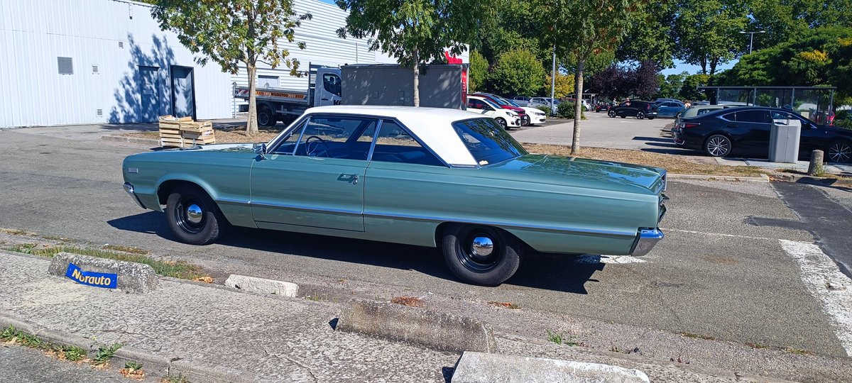 Toujours des perles où j'habite.