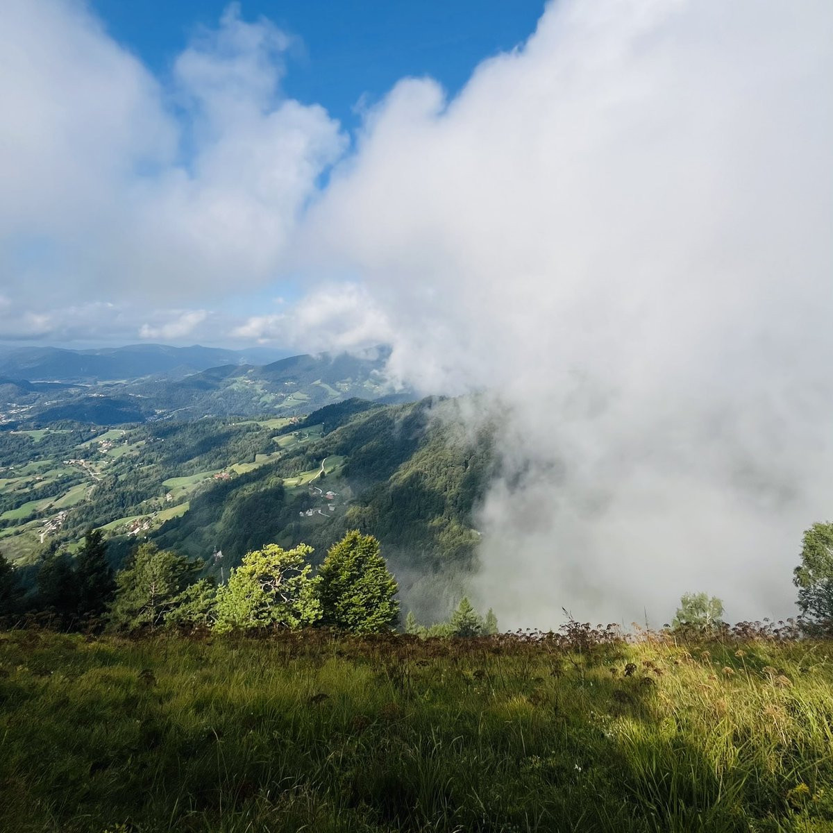 And half view  😜
#hhh #landscapephotography  #Slovenia #shotoniphone