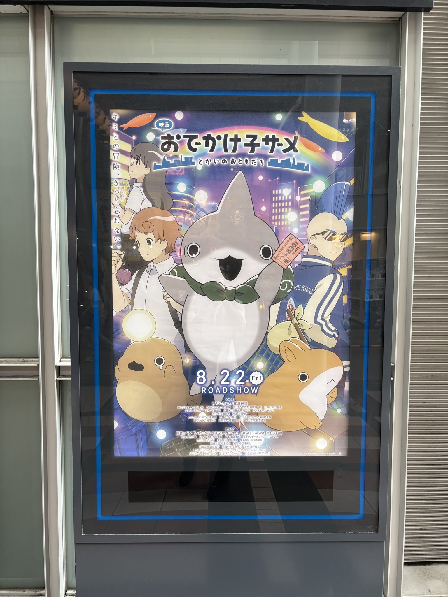 ザメちゃん確認 おでかけ子ザメ on X: 