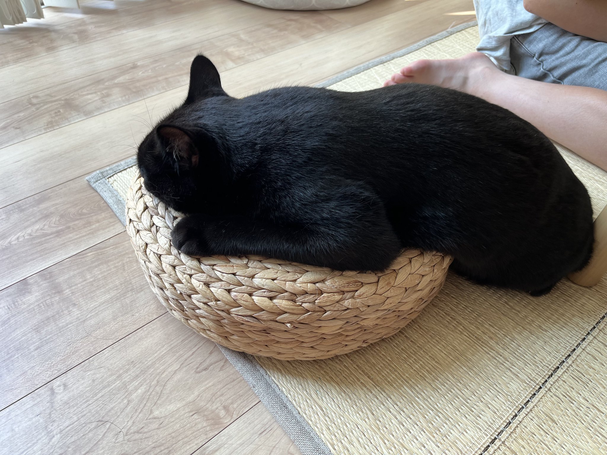 「黒猫みんと」のみ photo_1938_5b32d.jpg