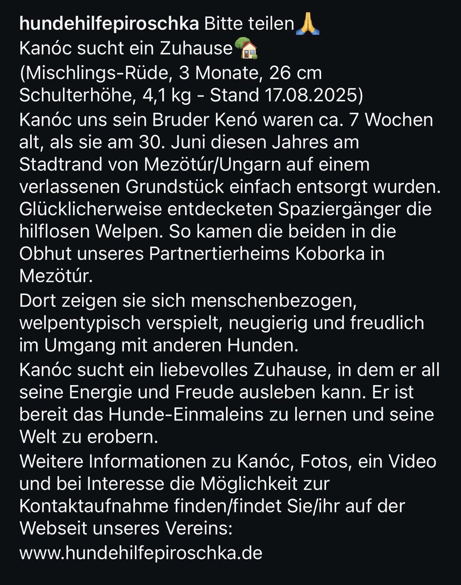 Bitte teilen. Dankeschön 🙏🥰