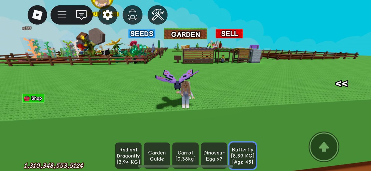 zarsteph tweet media