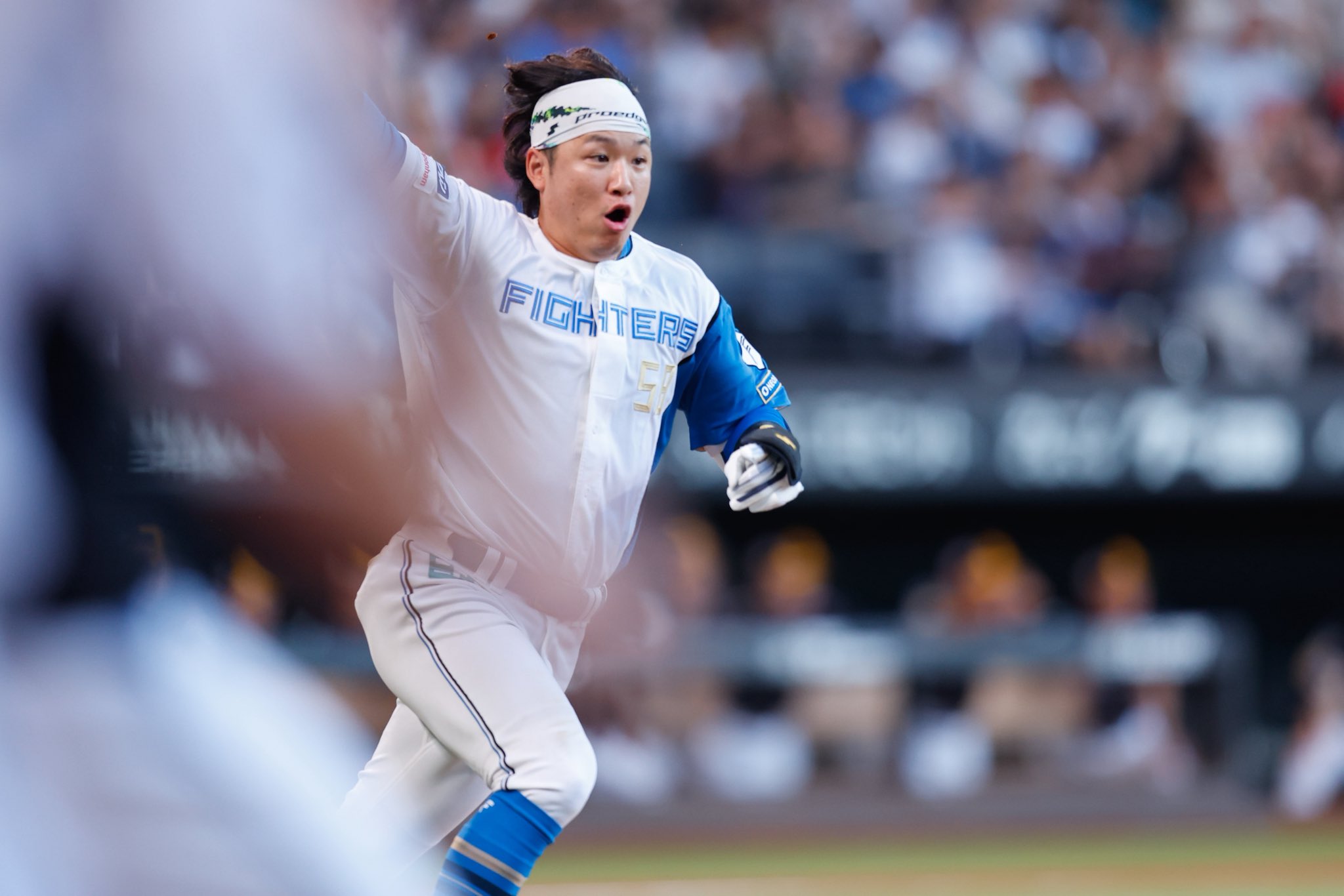 北海道日本ハムファイターズフード付きブラック　監督・選手愛用Large size 136573-19-