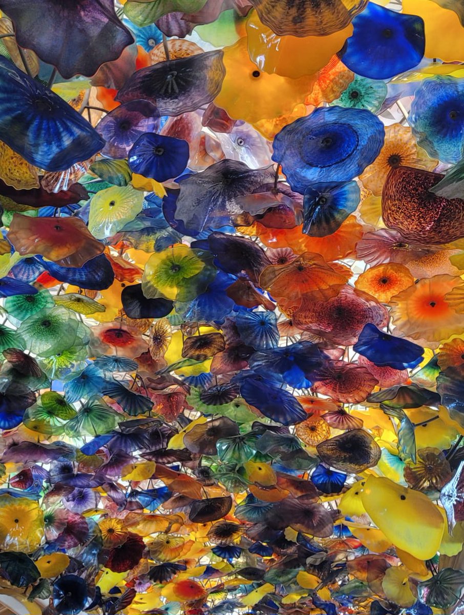 Wednesday, 27th August

Today's Daily Picture Theme is 'Kaleidoscope'

RT or reply with your own photo

Tomorrow's theme will be 'Lemon'

#DailyPictureTheme

Chihuly's ceiling in the Bellagio, Vegas always reminds me of a #kaleidoscope