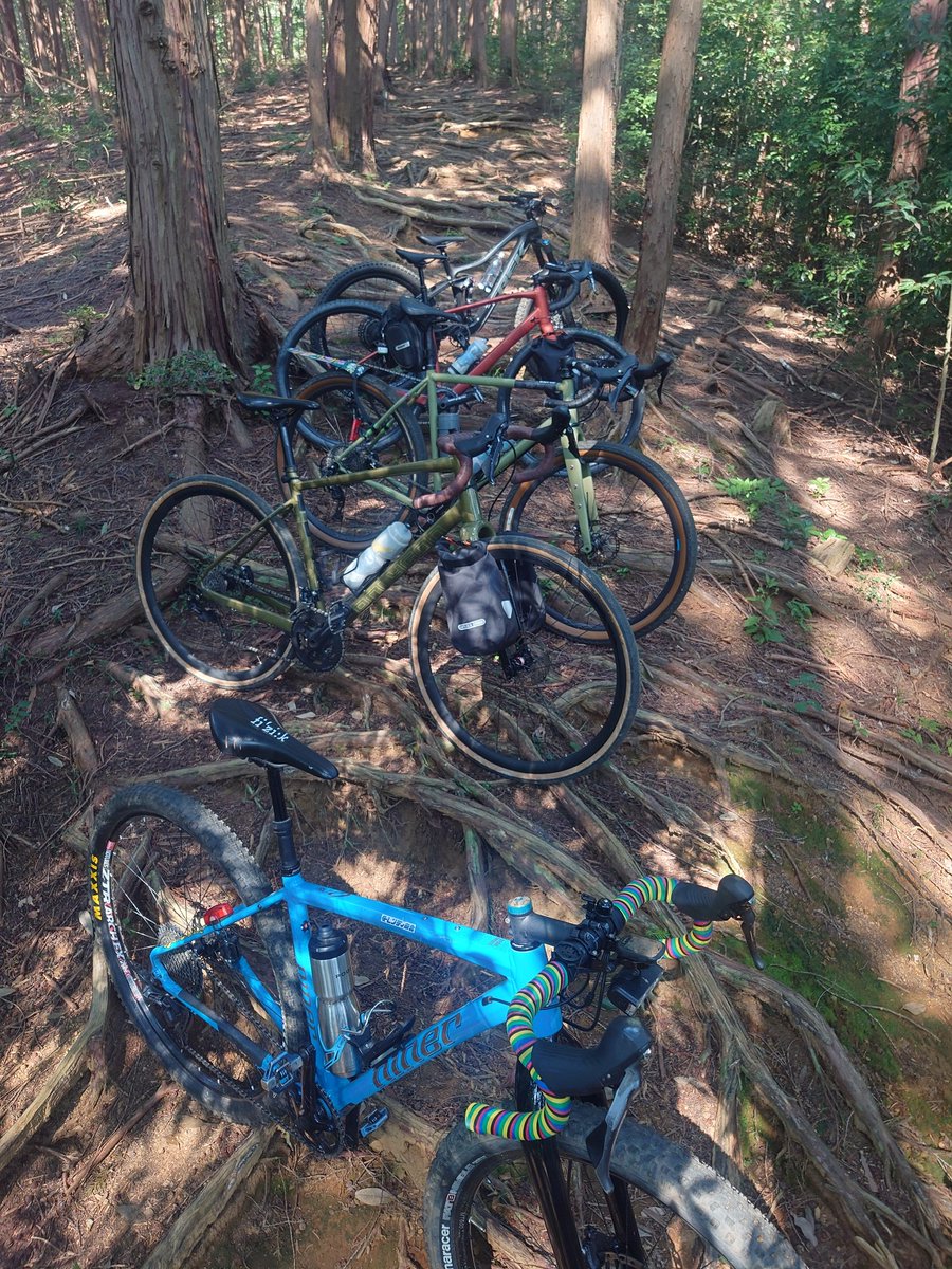 グラベルバイクでMTBのトレイルを走らせてもらう面白さ。