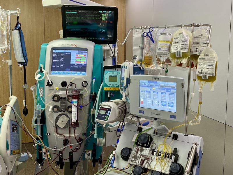 N. David Toapanta G. tweet media