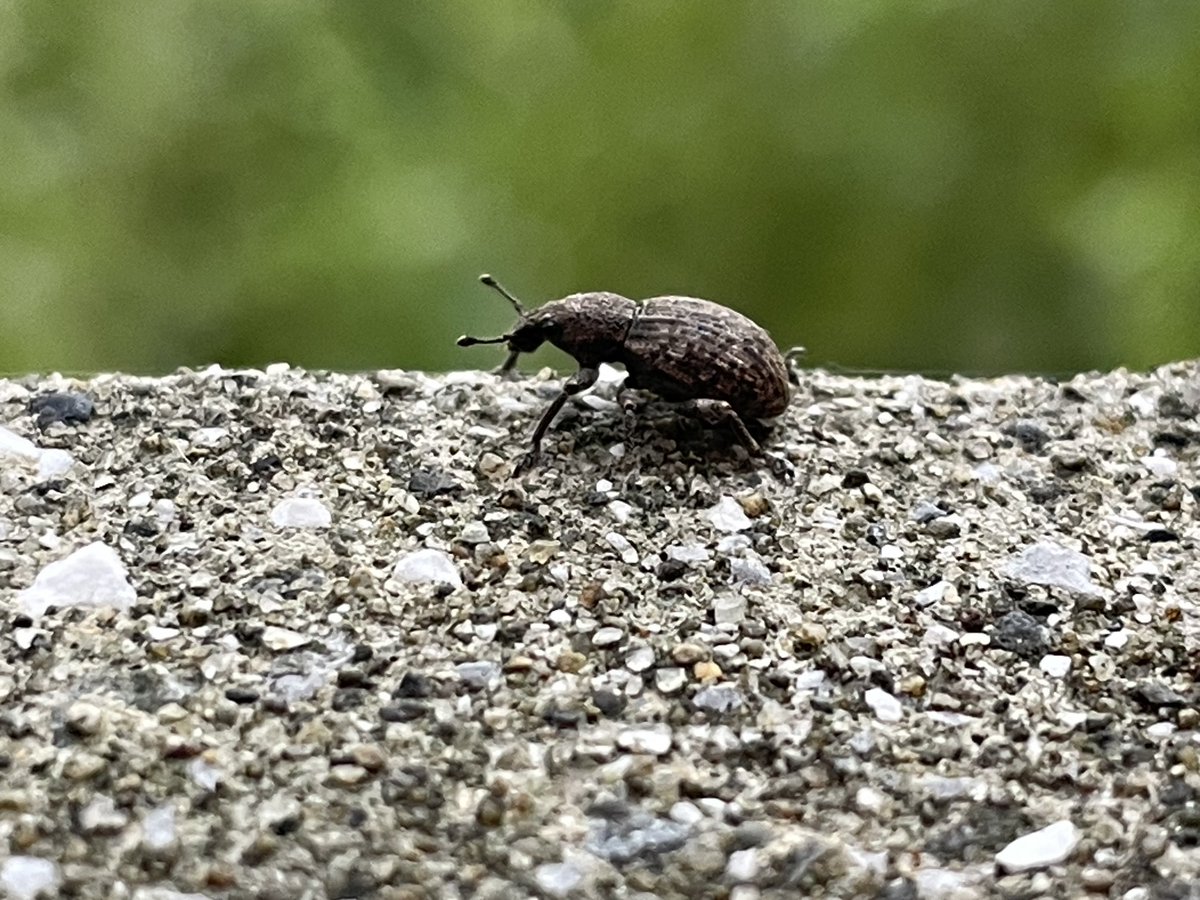[今日の一枚]

無駄の無い容姿