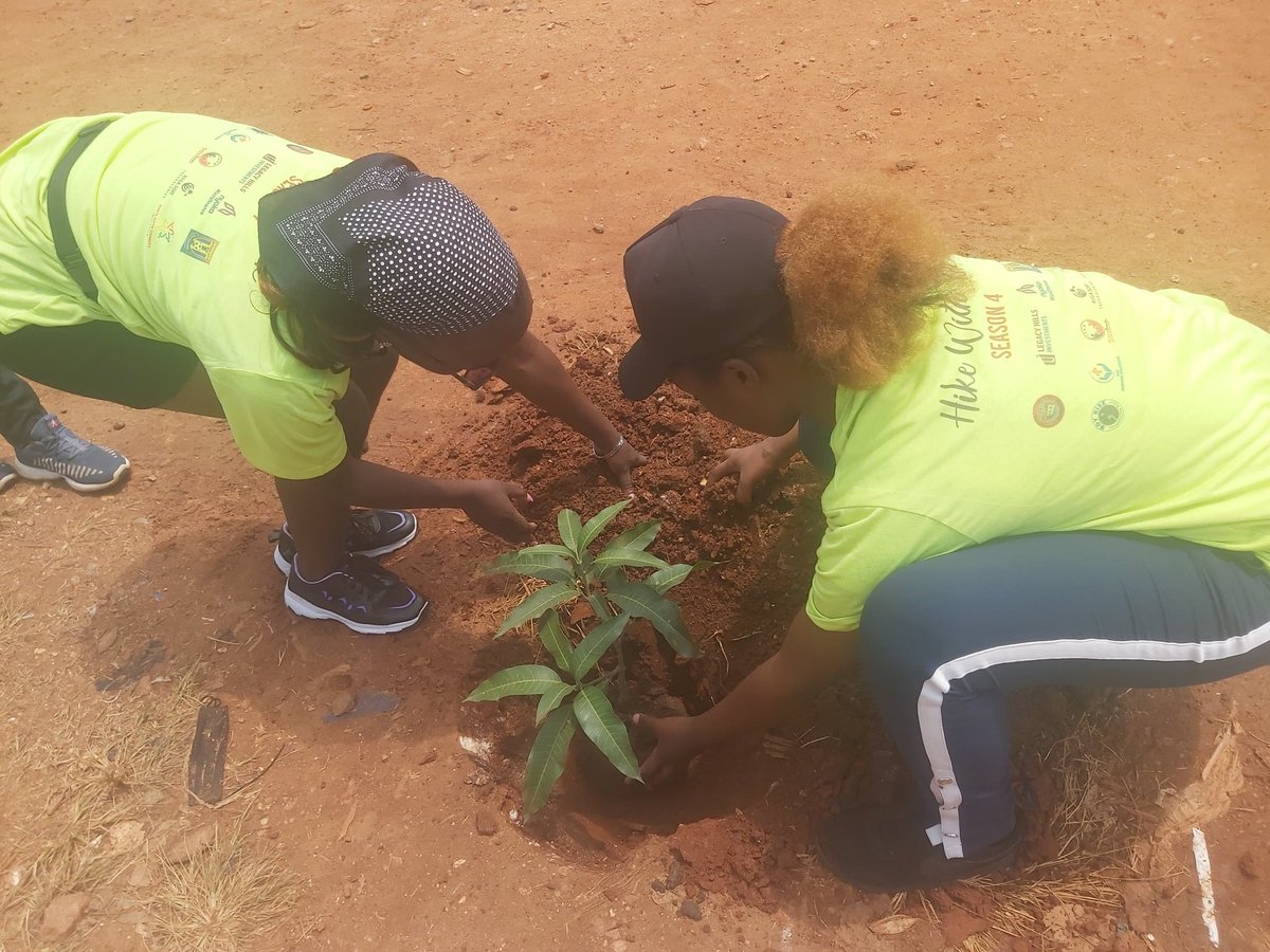 Robert Ninyesiga (@ninyesigar) on Twitter photo Super proud of our colleagues on the #HikeWithTjk Mission (Season 4) 🎤
Their dedication to #Environmentalprotection and #communitydevelopment is truly inspiring. Keep pushing boundaries! <a href="/TJKFound_Int/">TJK Foundation</a> Super proud of our colleagues on the #HikeWithTjk Mission (Season 4) 🎤
Their dedication to #Environmentalprotection and #communitydevelopment is truly inspiring. Keep pushing boundaries! <a href="/TJKFound_Int/">TJK Foundation</a>