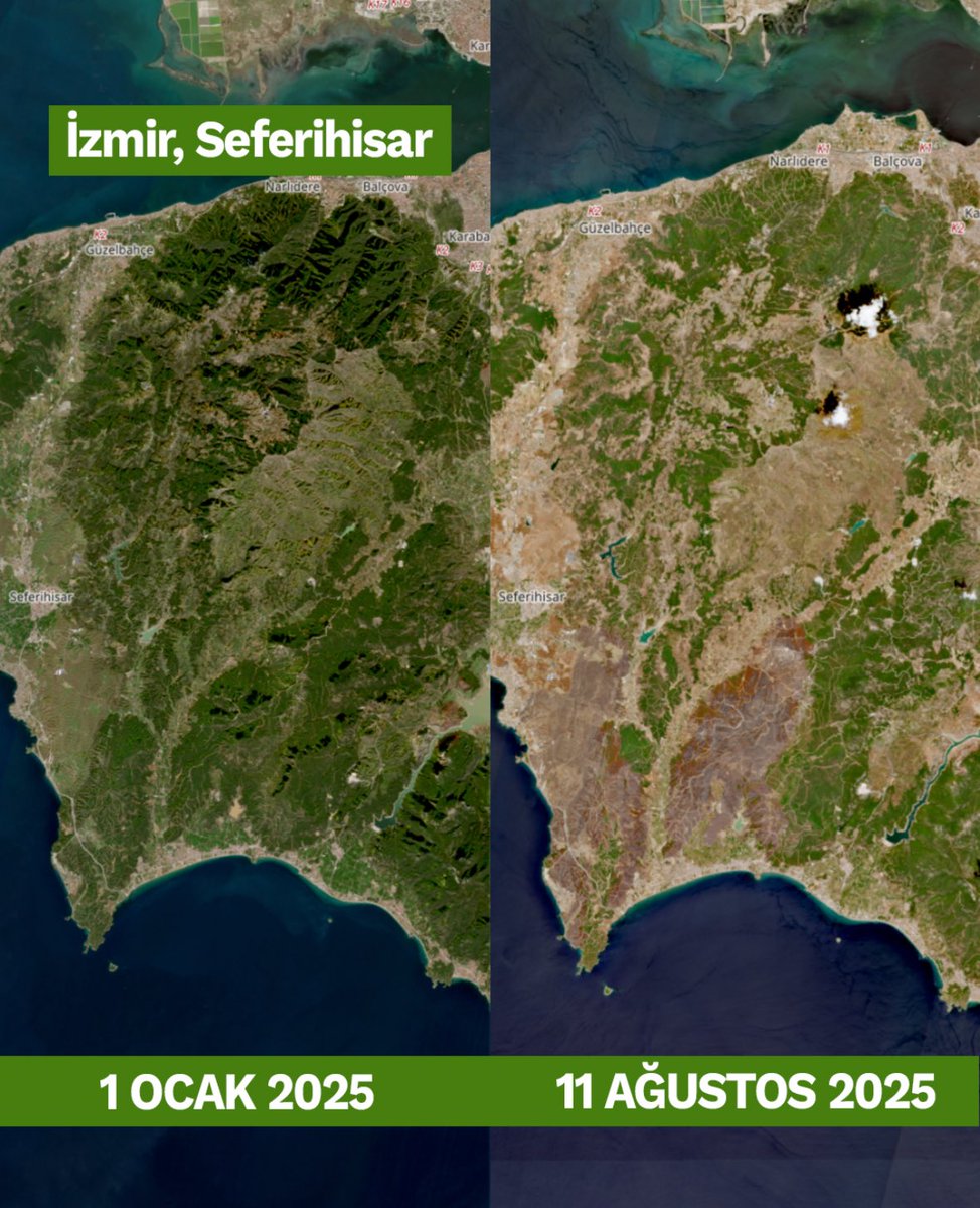 Memleketimizin doğası yok oluyor. Beton sever Ak parti iktidarı ülkeyi kuraklığa açlığa yokluğa sefalete götürüyor.