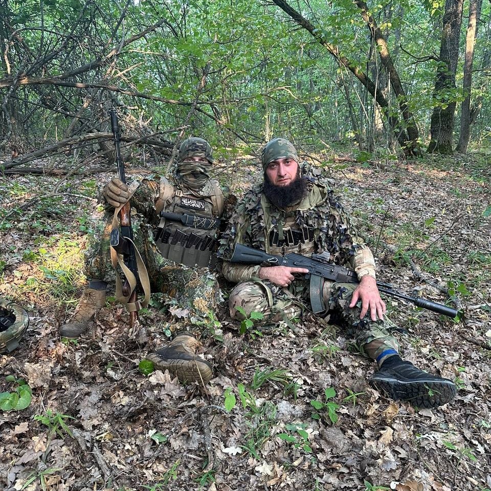 Kamuflase dari milisi muslim pro-Ukraina yang dikabarkan turut beroperasi di dalam wilayah Rusia. Milisi yang sepertinya dari area Kaukasus ini bersenjatakan senapan serbu AK-74 dan AK-74M kal 5.45x39mm, dimodifikasi dengan top cover yang dipasangkan optik, dan pakai suppressor.