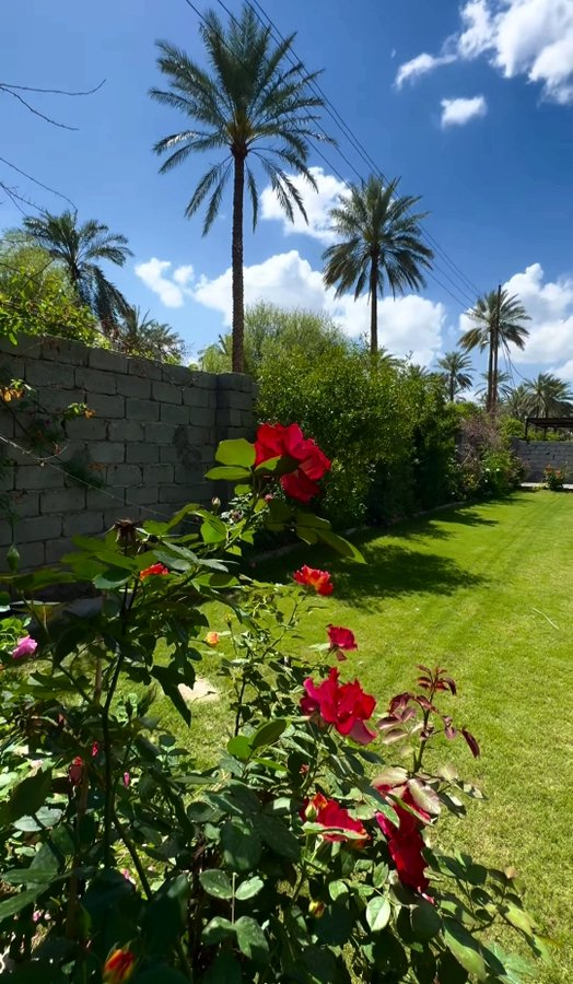 يا رب توفيقاً وستراً دائماً وامان رُوح ثُم حُسن ختام   💛📷#صباح_الخير