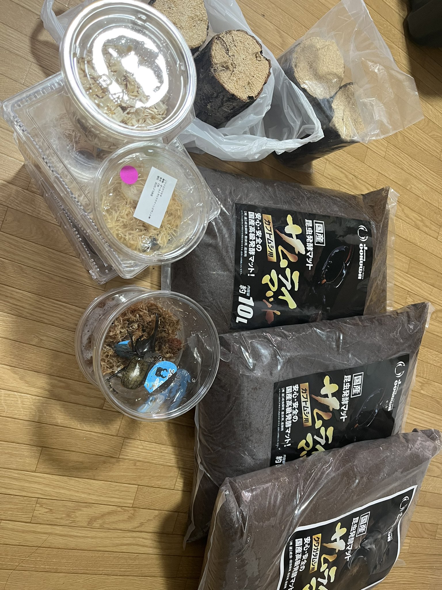 クワガタ様リクエスト商品 久しぶりの | obj-kyotoのブログ