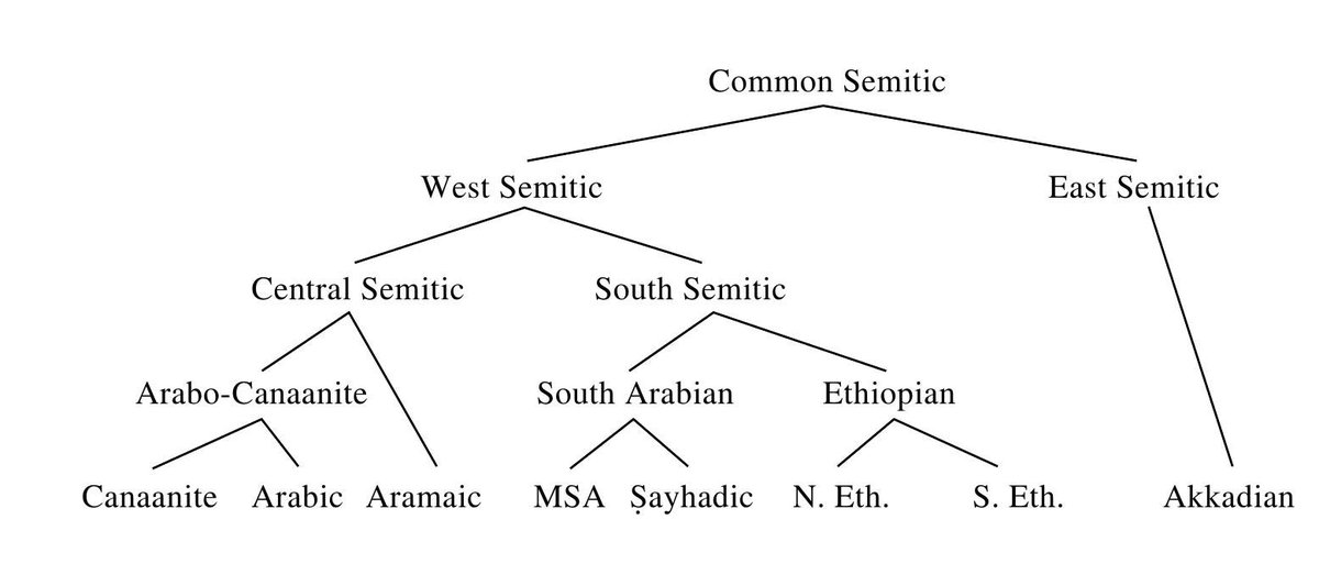 نوماد 🐪 tweet media