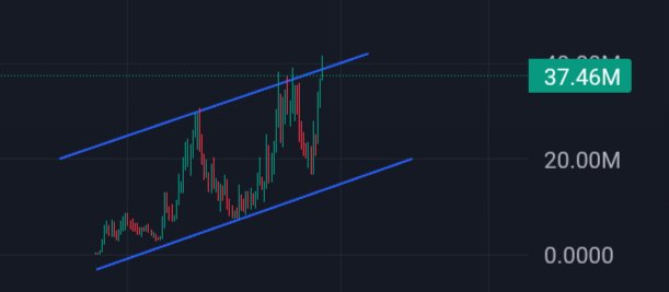 $USDUC grinding steady. 🚀

Strong base built, liquidity locked, MCAP setting the stage. 🌺

Momentum is coiling tight — the break will be violent. 👀📈

CB9dDufT3ZuQXqqSfa1c5kY935TEreyBw9XJXxHKpump 😶‍🌫️
