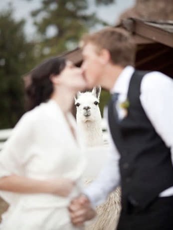 x__Maple__x's tweet image. 完全に一致で草