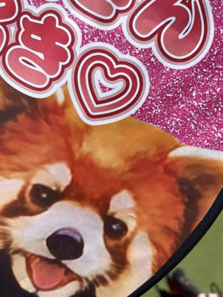 あっちゃんさん　セレクト 赤カメちゃんとAWきらちゃん🫶🏻 お友達がプレゼントしてくれた