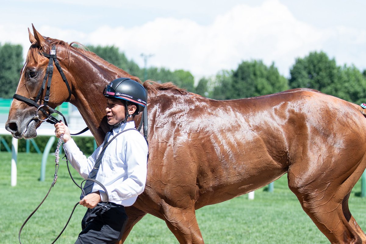 シルクスクリーン レア ファンク.レダン サンモッツの競馬リトグラフA