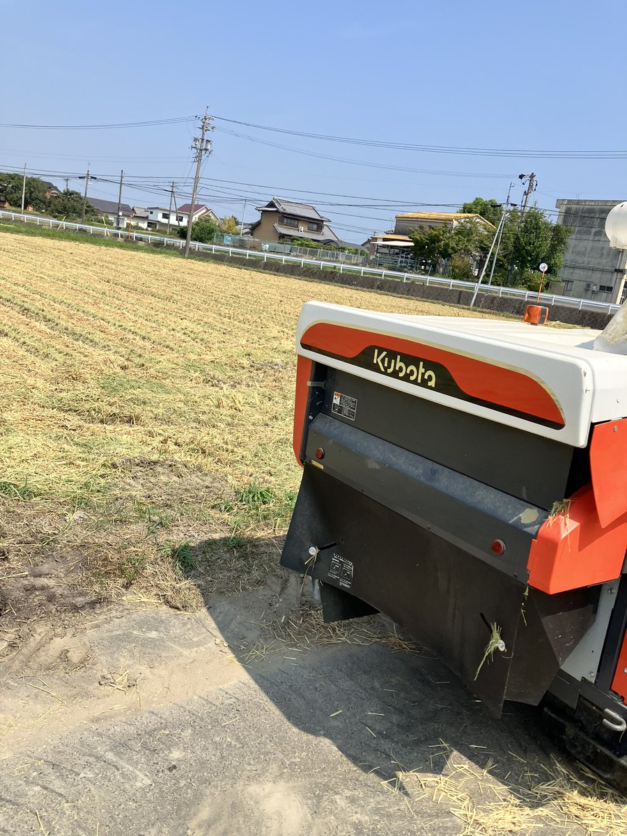 YoGonzo's tweet photo. 体調よろしくないですが、来週末だと遅いので、強行稲刈🌾　今年の猛暑の影響でちょっと少ない感じです。 https://t.co/3KkKXn0Goe