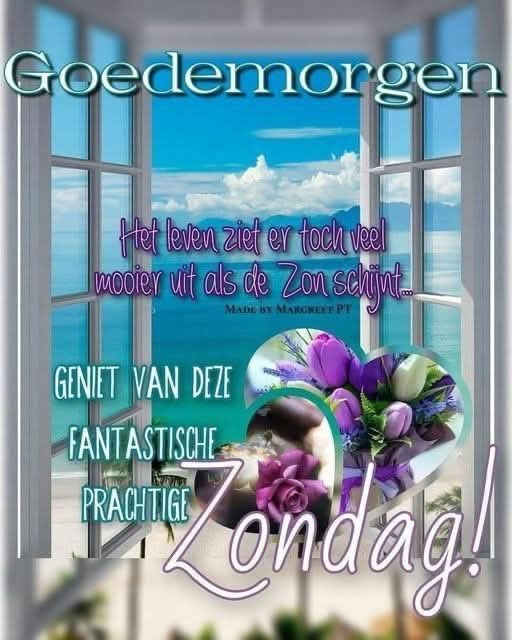 Goedemorgen iedereen