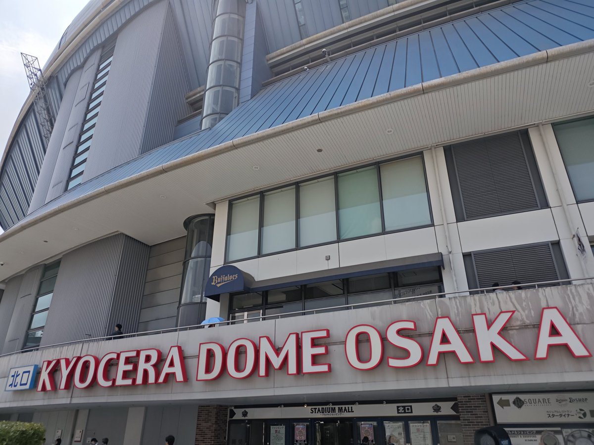 logtaroly's tweet image. 