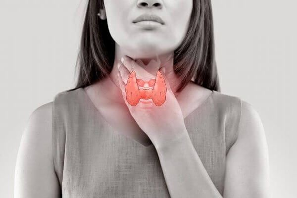 Aqui_mi_casa's tweet photo. La TIROIDES es tu reactor metabólico (o tu ancla)  

Es la razón por la que quemas como un hornillo… o te congelas de cansancio.  

Aquí te explico qué la destruye y cómo encenderla en 10 pasos reales y brutales (GUÁRDALO): https://t.co/Ev1REUIcRF