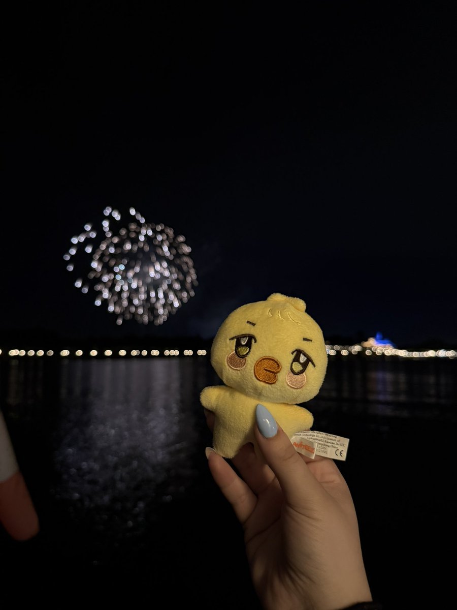 Mingi_8M1T's tweet photo. bbyongming and jjongbear watching the fireworks at disney :,) https://t.co/dLwqvvdVe7