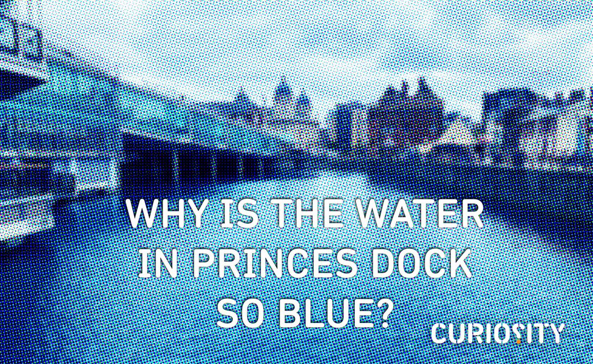 Curiosity (@curiosityhull) on Twitter photo Why Is The Water In Princes Dock So Blue?
Our repurposed dock correspondent <a href="/angus_young61/">Angus Young</a> discovers what discolours the water and what lurks therein.
curiosityhull.co.uk/why-is-the-wat…
<a href="/hull_libraries/">Hull Libraries</a>
<a href="/PrincesQuayHull/">Princes Quay</a> Why Is The Water In Princes Dock So Blue?
Our repurposed dock correspondent <a href="/angus_young61/">Angus Young</a> discovers what discolours the water and what lurks therein.
curiosityhull.co.uk/why-is-the-wat…
<a href="/hull_libraries/">Hull Libraries</a>
<a href="/PrincesQuayHull/">Princes Quay</a>