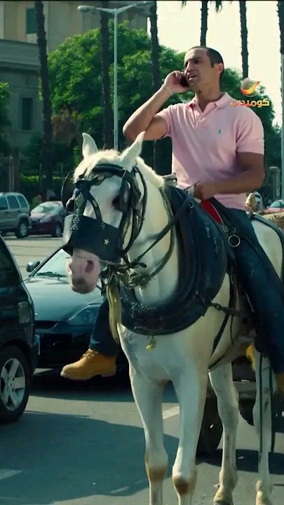 ايوة انا سرقت الحصان بتاع عم اشرف بتاع الخضار اللي تحت البيت عشان اروح ماك