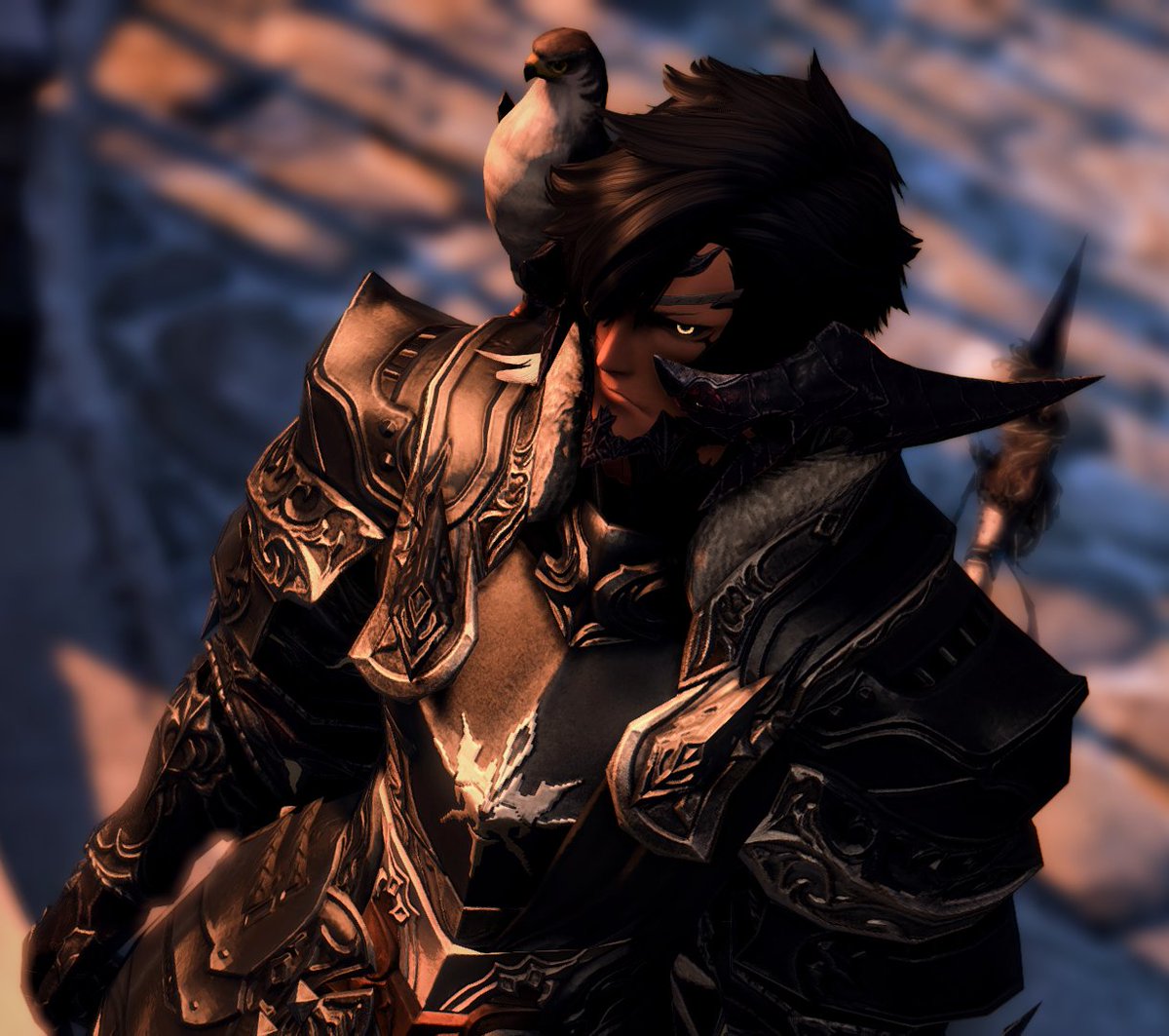 Kogami_XIV tweet media