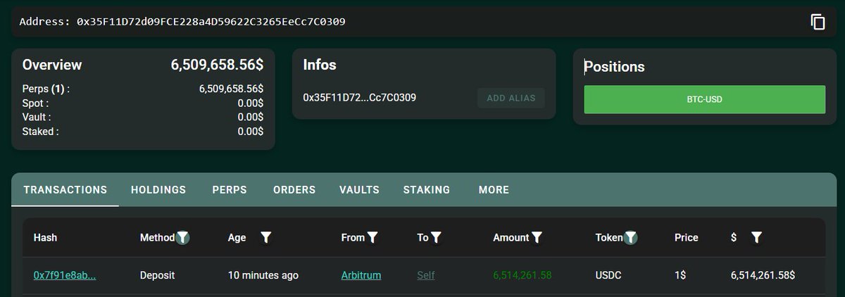 HyperLiquid 地址概览截屏，显示最近的 USDC 存款和 BTC 头寸