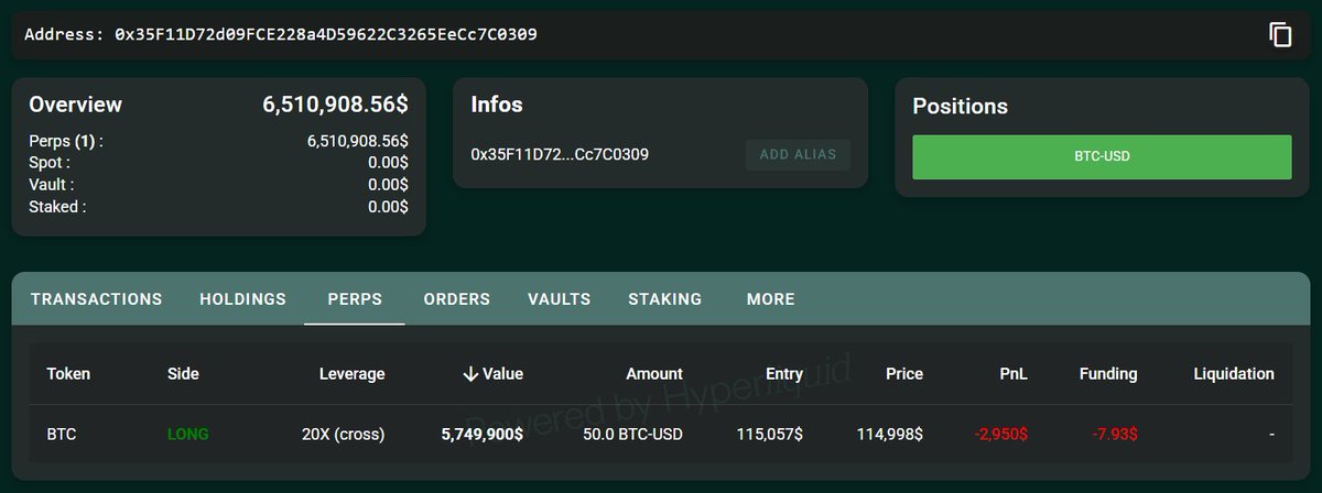 HyperLiquid 上 20 倍杠杆 BTC 多头头寸的详细视图