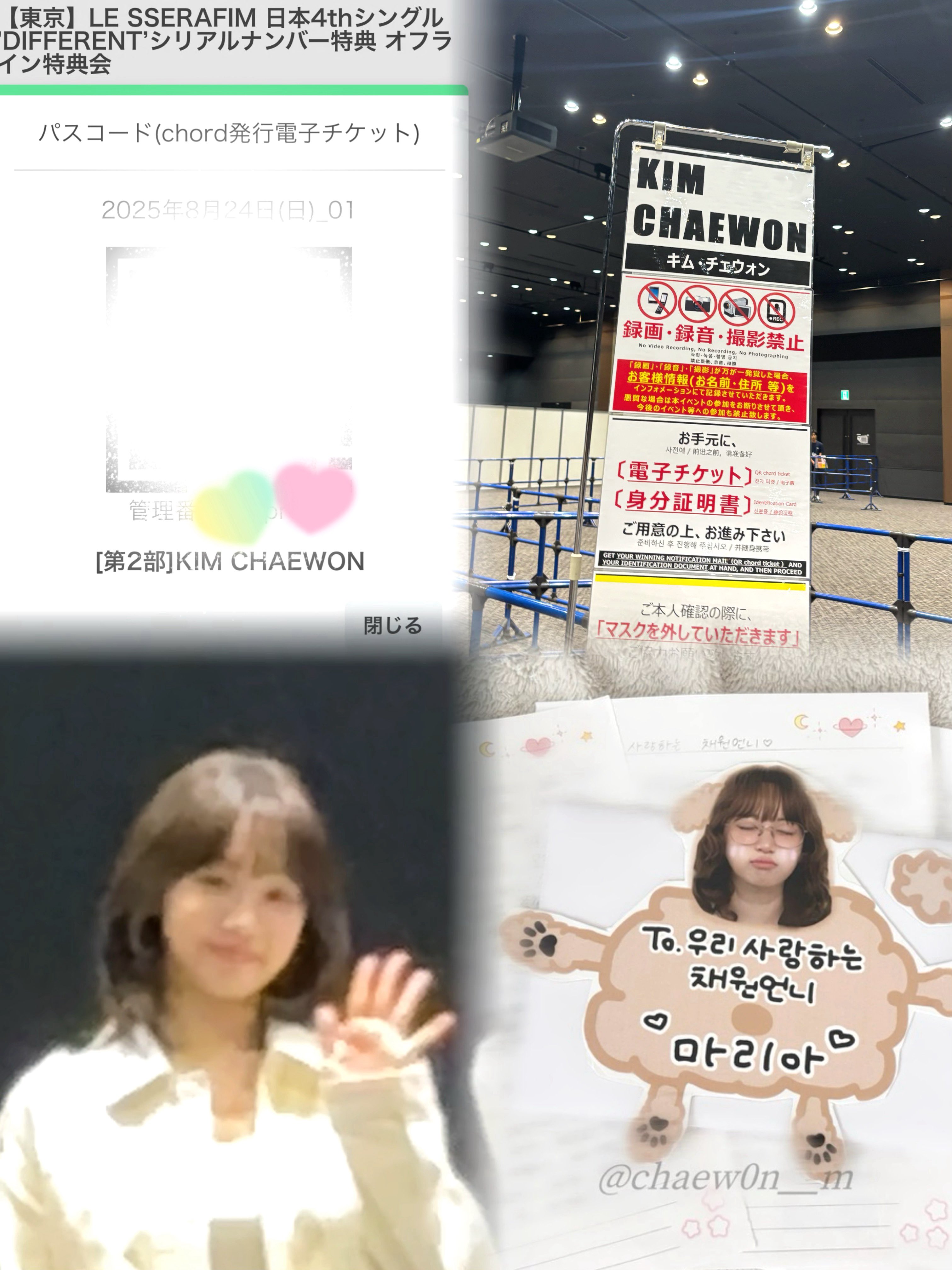 ルセラフィム　チェウォン　手紙 ファンレター　お渡し会　トレカ チェウォンファンレターお渡し会トレカイベント