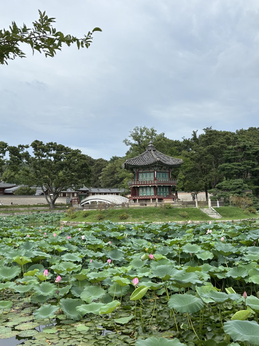 mohammed tweet media