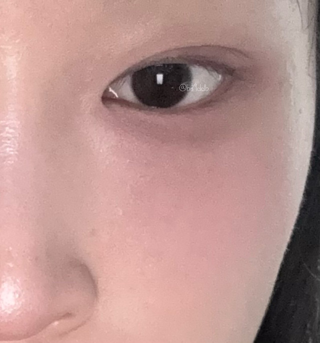 블랑디바 홍주 팔레트 실사용