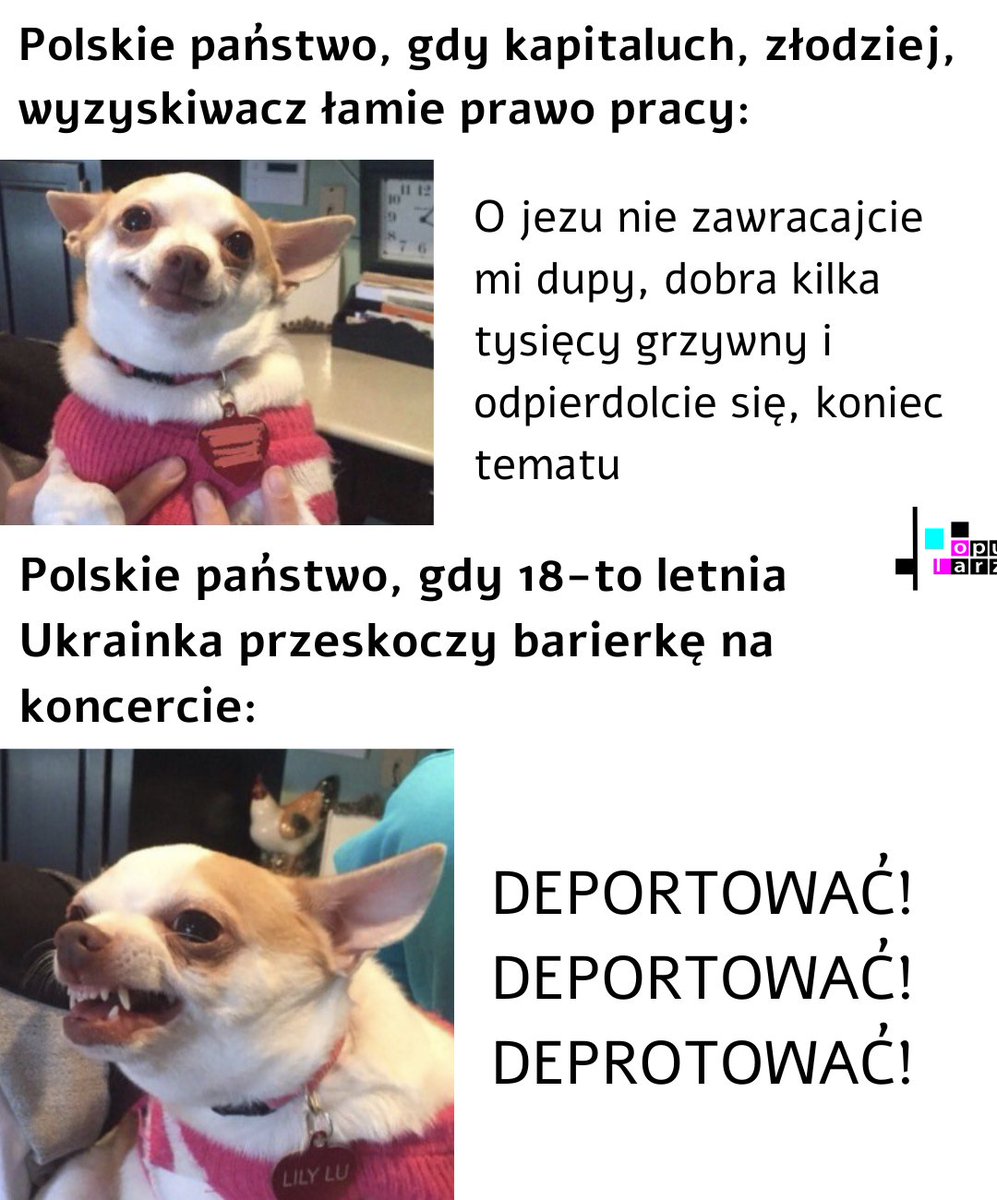 Stronnictwo Popularów (@popularzy) on Twitter photo 