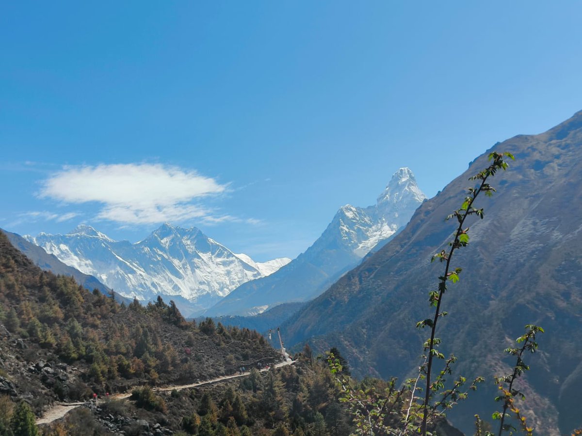 BhadPunyasloke's tweet image. Do you work on benthic fauna? If so, submit abstract to attend and present your work at @19imco in Kolkata, India. Also get a chance to explore Sundarbans mangrove, an UNESCO World Heritage Site and snowy mountain peaks of the Eastern Himalaya. 
19imco.com