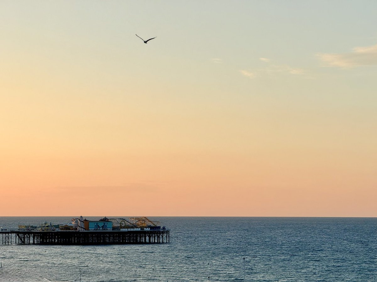 A clear start to the day in #Brighton. #UsualSeagull.