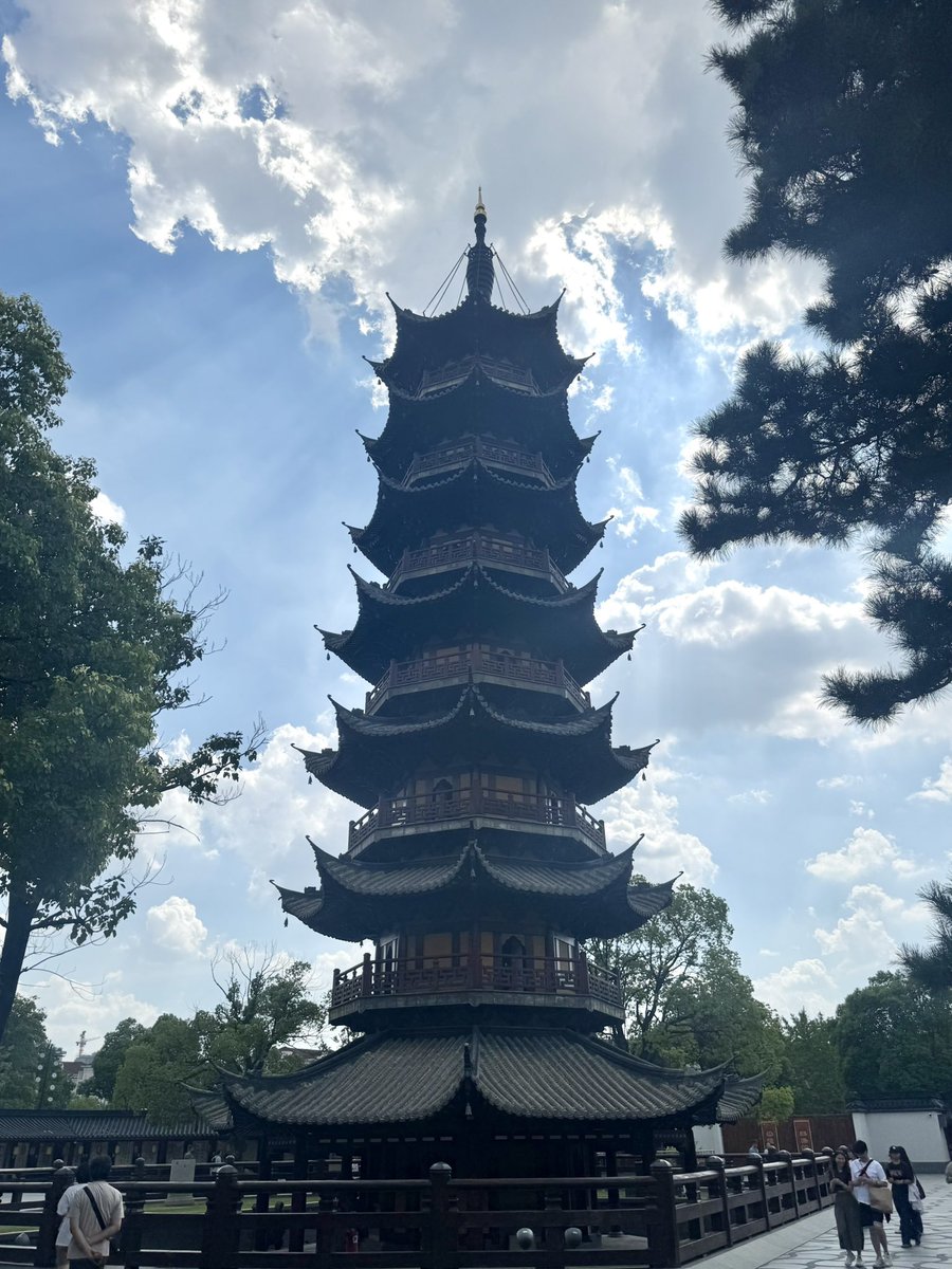 高举女绿大旗🦌 tweet media