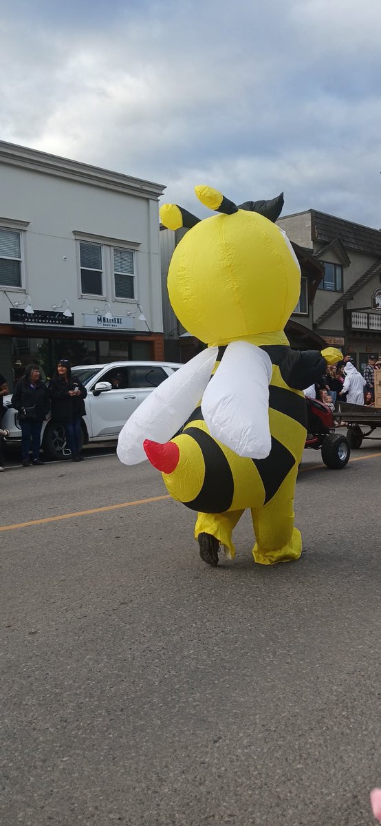 SharonMLA's tweet photo. I had a lot of fun participating in the Bulkley Valley Exhibition Parade!
“Make a Bee-line to the Fair”
#BVX #bulkleyvalley #parade https://t.co/BOPkCMKEtN