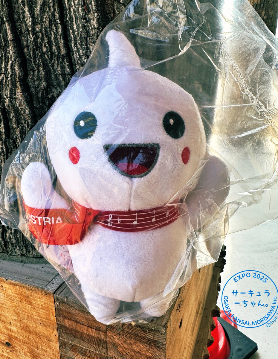 オーストリア🇦🇹の 赤白赤ちゃん（アカシロアカちゃん） キーホルダー