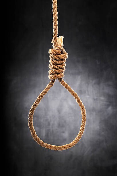 We put it in there for a reason

Article II -Section 4 - The Text

The President, Vice President and all civil Officers of the United States, shall be removed from Office on Impeachment for, and Conviction of, Treason, Bribery, or other high Crimes and Misdemeanors