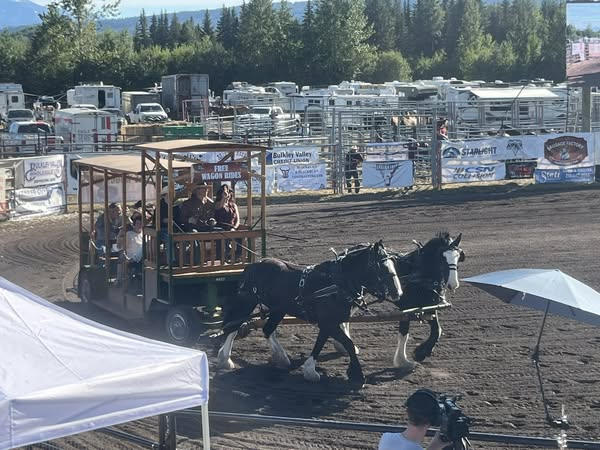 SharonMLA's tweet photo. It was a pleasure to participate in the Smithers Rodeo Club Opening Ceremony at the 106th Bulkley Valley Exhibition.
Congratulations to the organizers and volunteers for putting together such a special community event.
#BVX #Rodeo #community https://t.co/P3MZUpEsO8