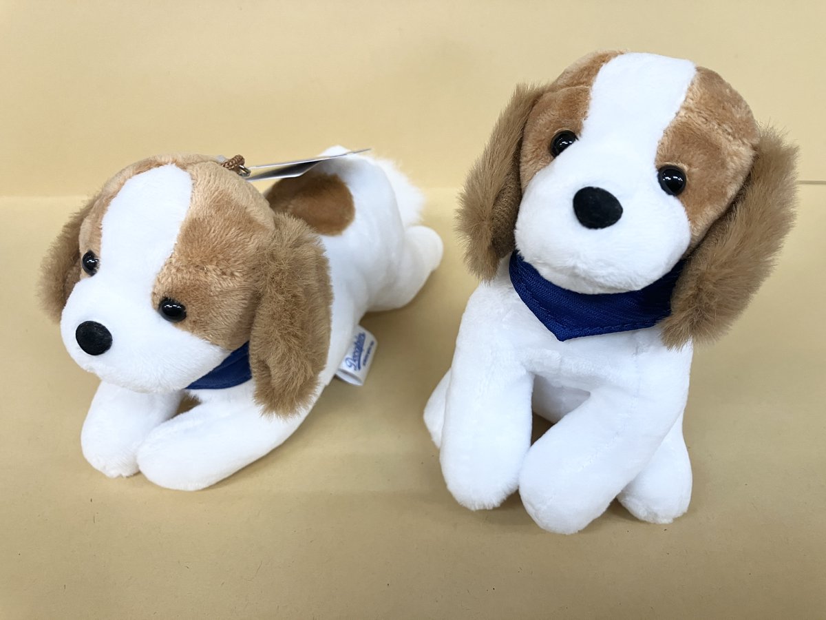 あの！ ロサンゼルス・ドジャース大谷翔平選手の愛犬「デコピン」が