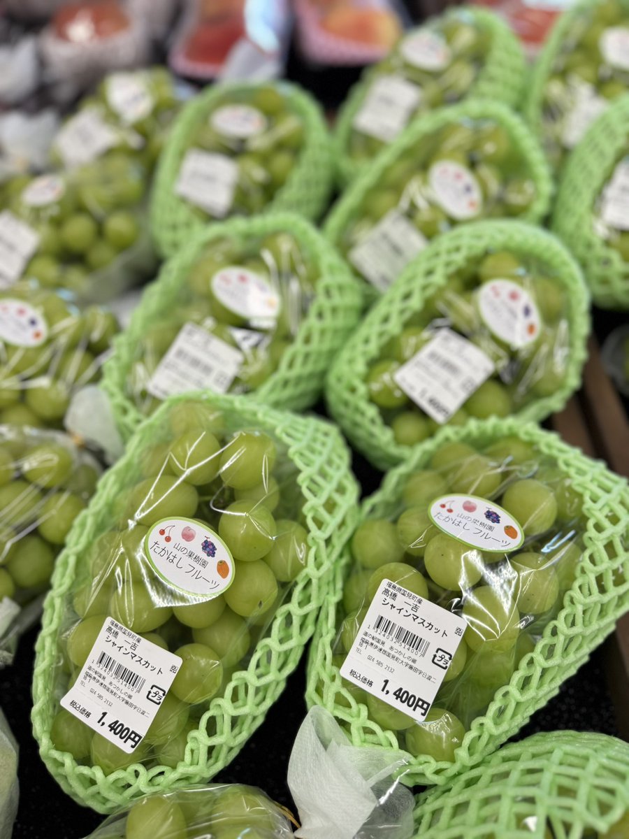 ついにこの季節が🥹 皆さまお待たせしました‼️ #あつかしのぶどう2025