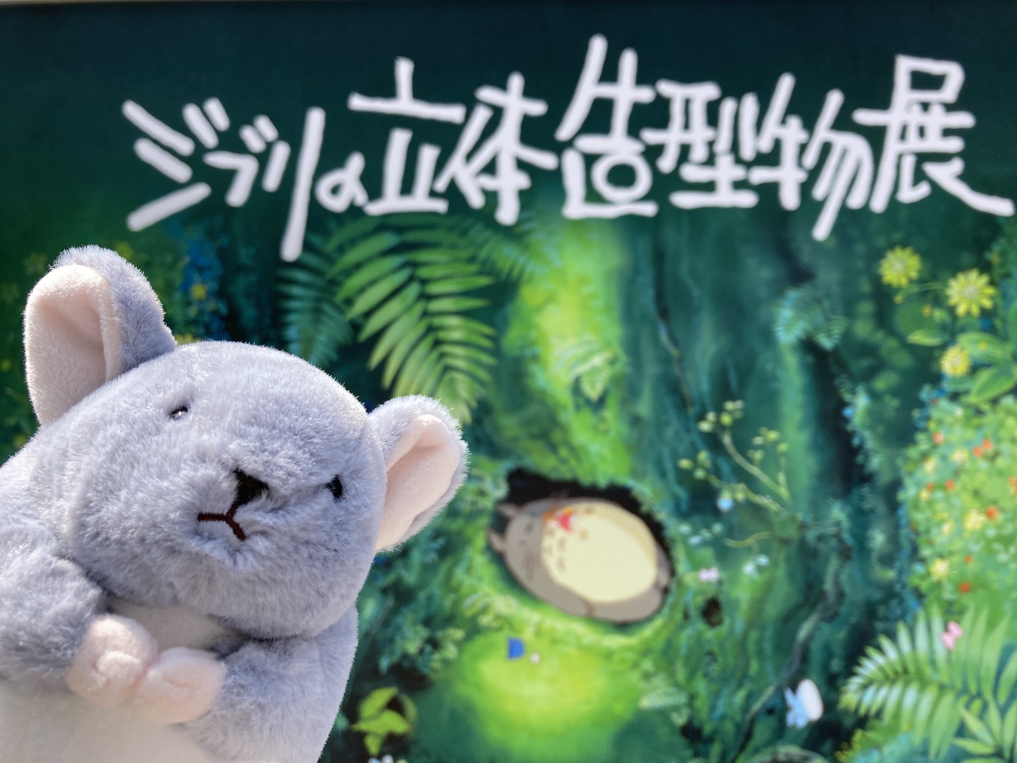 プ－チン、自らを語る プーチン、自らを語る プーチン、自らを語る 中古本・書籍