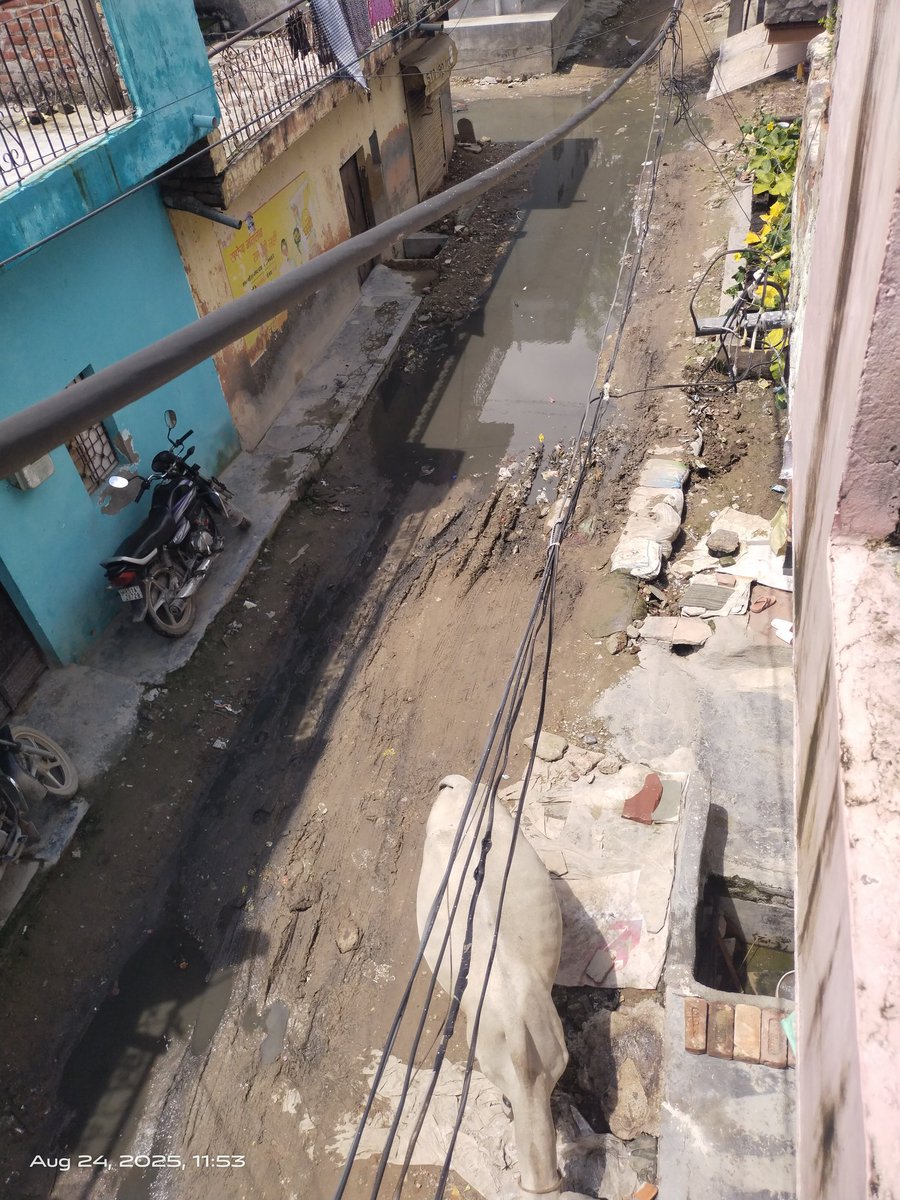 ravi42867's tweet photo. @KPGBJP @cmohry @DC_Faridabad @SwacFaridabad @NayabSainiBJP @rajeshnagarfbd @MCF_Faridabad
Dear Sir,We are residing in MCF Ward No. 27, Nikhil Vihar, Ismailpur, and are facing a very poor situation due to the condition of our strt. Despite having two schools located in this gali https://t.co/Ay2RsZek0E